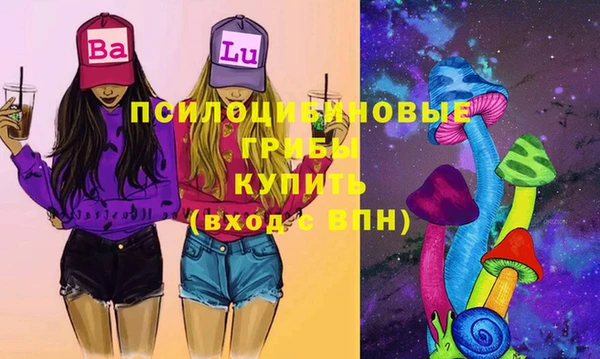 ешки Алексин