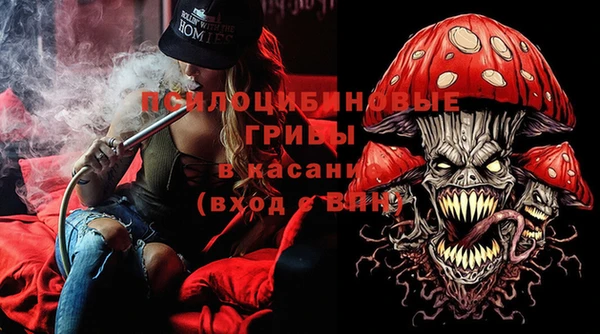 гашик Алексеевка