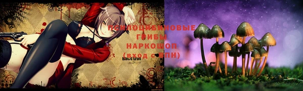 гашик Алексеевка