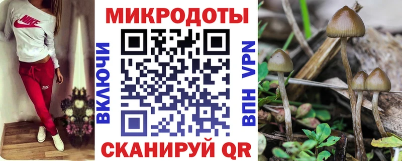 Галлюциногенные грибы GOLDEN TEACHER  Арсеньев 